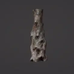 Dawn-Redwood-Precursor-Vase-and-Ogre-Mace-Cults.gif Free 3D file DAWN REDWOOD TREE TRUNK VASE FOR REMIXING and Ogre Mace・3D printing idea to download