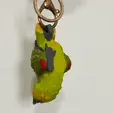 ch.gif Amazon Parrot Keychain