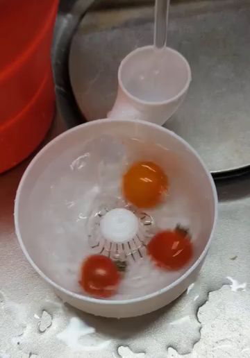 m2-res_518p.mp4 Lavadora automática de frutas y verduras