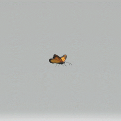 papillon.gif STL file butterfly・3D printing model to download, makhady