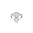 ImageToStl.com_vampire.gif Vampire