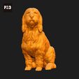 131-Basset_Griffon_Vendeen_Petit_Pose_05.gif Basset Griffon Vendeen Petit Dog 3D Print Model Pose 05