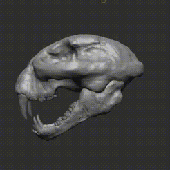 myFile6-15-2023_23349_PM.gif STL file cheetah skull / cat skull・3D printable design to download
