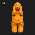 040-American_Cocker_Spaniel_Pose_04.gif American Cocker Spaniel Dog 3D Print Model Pose 04