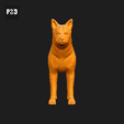 394-Canaan_Dog_Pose_01.gif Canaan Dog 3D Print Model Pose 01