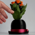 HDV_0419.gif Bowler Hat Mini Plant Pot for Succulent&Cactus