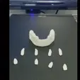 Vídeo-sin-título-‐-Hecho-con-Clipchamp-1.gif Dental Modelo dental impreso en resin/ Dental Model in Resin