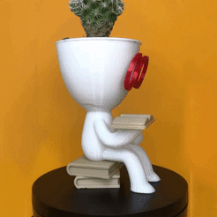 Video_02.gif Robert book planter - reader planter