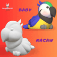 Cod500-Baby-Macaw.gif Baby Macaw