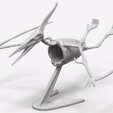 Pterodactyl-GIF-gif.gif Pterodactyl Skeleton