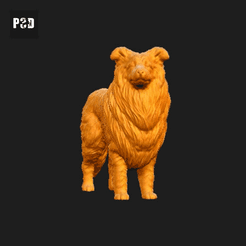 504-Collie_Rough_Pose_03.gif Archivo STL Collie Rough Dog Impresión 3D Modelo Pose 03・Idea de impresión 3D para descargar