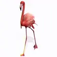 tinywow_VID_37312228-red.gif DOWNLOAD Flamingo 3D MODEL ANIMATED - BLENDER - 3DS MAX - CINEMA 4D - FBX - MAYA - UNITY - UNREAL - OBJ -  Flamingo DINOSAUR DINOSAUR Flamingo DINOSAUR BIRD