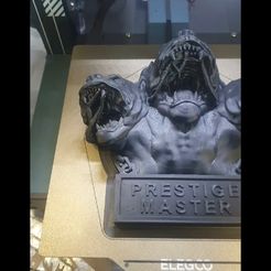 Call of Duty Black Ops 6 Prestige Master