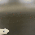 giphy-52.gif Desdentado bailando meme flexi - sin soporte - multicolor