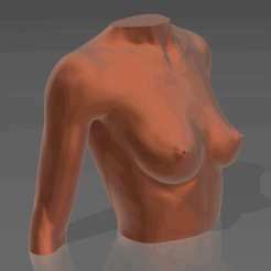 01.gif Fichier STL Buste 01・Objet pour impression 3D à télécharger