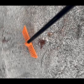 IMG_1944.gif Coop's Chicken Rake - Pooper Scoop Shovel Rake