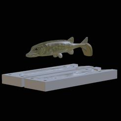 stika-kopyto-13cm-ploutev.gif STL file AM bait pike 2.0 fish 13cm hoof form for predator fishing・Design to download and 3D print