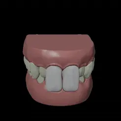 Big-Teeth.gif STL file Big front TEETH DENTAL・Design to download and 3D print