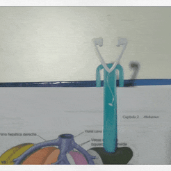 Esteto.gif STL-Datei Lesezeichen Krankenpflege Medizin Stethoskop Stethoskop・Design für 3D-Drucker zum herunterladen