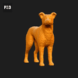 513-Collie_Smooth_Pose_03.gif Collie Smooth Dog 3D Print Model Pose 03