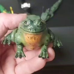 Frog Geocache