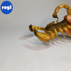 Sequence-06.gif STL file ARTICULATED SCORPION・3D printer model to download
