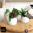 ezgif.com-resize-14.gif Dinosaurier-Eier 3er Set Blumentöpfe / Triceratops / Brachiosaurus / Parasaurus