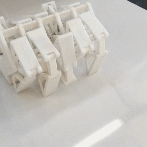 IMG_5173 trim.gif The Humble Velocipede