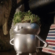 Macetero.gif Planter with Creative Drainage
