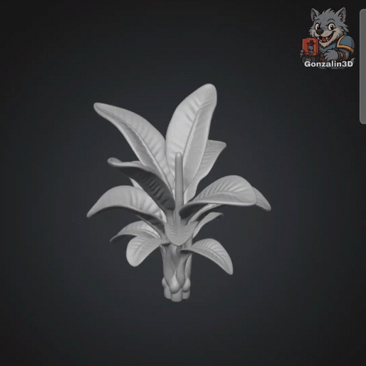 Jungle Plants - 2 models