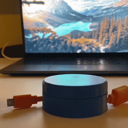 Cable Organizer 3D model