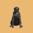 IMG_0767.gif Low poly dog pack x11