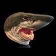 13.gif SHARK MASK
