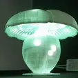 gif-1.gif Mushroom lamp "The whitish boletus