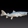 🐠 surubi 25 mm for resin - surubi 25 mm for resin・ STL File for 3D ...