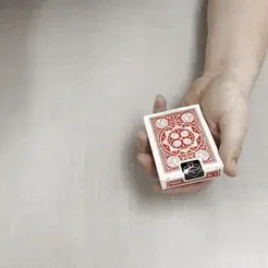 Vanishing-Deck-GIF.gif 3D file Vanishing Deck of cards・3D printing template to download