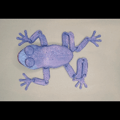 My-Video2.gif STL file Female frog・3D printer design to download, krazypoly