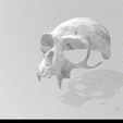 GIF-FINAL.gif Primal Beast Fangs Skull