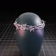 video.gif CROWN OF THORNS BARBED WIRE
