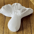 cropped-video.gif STL file King's Trumpet Wall Mushroom・3D printable model to download