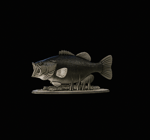 fish largemouth bass (MICROPTERUS SALMOIDES) open mouth version 2 natural base for 3d printing