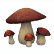 CPT2312051325-576x560.gif Mushroom