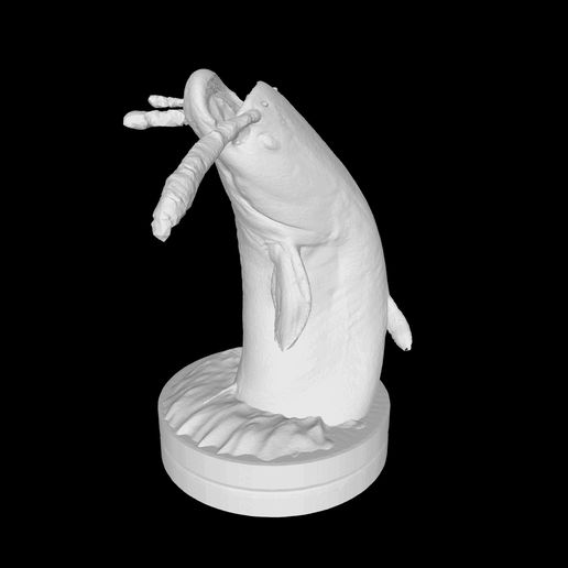 🐠 Flathead Catfish- Catfish Fish Fish with water effect