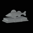 Zander-money-2.gif fish sculpture of a zander / pikeperch with storage space for 3d printing