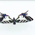 tinywow_MP4_32654045.gif DOWNLOAD BUTTERFLY 3D MODEL - ANIMATED - MAYA - BLENDER 3 - 3DS MAX - UNITY - UNREAL - CINEMA 4D - 3D PRINTING - OBJ - FBX - 3D PROJECT CREATE AND GAME READY BUTTERFLY - DRAGON