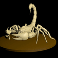 Scorpion.gif Scorpion inspired by ARK survival evolved