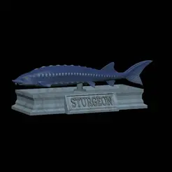 Sturgeon-statue-4.gif fish beluga / sturgeon / huso huso / vyza velká statue detailed texture for 3d printing