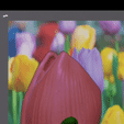 Screen_Recording_20230624_203715_Nomad-Sculpt_1.gif leafy tulip