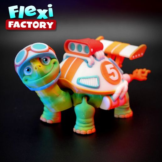 Dan-Sopala-Flexi-Factory-Racing-Tortoise.mp4 Flexi Factory 赛车龟盒