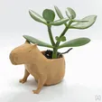 capybara.gif Capybara Flower Pot